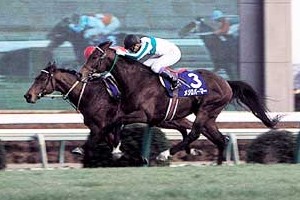 日刊競馬で振り返るＧＩ - 1991年有馬記念ン（ダイユウサク）／1992年有馬記念（メジロパーマー）