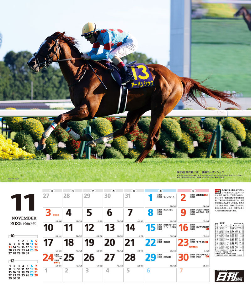 2025 日刊競馬カレンダー11月